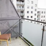 Rent 1 bedroom apartment of 40 m² in dublin