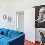 Rent 2 bedroom apartment of 32 m² in Marseille