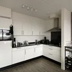 Rent 3 bedroom apartment of 97 m² in 3812EG Amersfoort