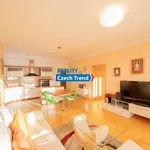 Rent 3 bedroom apartment in Olomouc