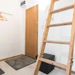 Rent 1 bedroom apartment of 40 m² in vilnius