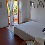 Appartamento arredato con terrazzo Centro