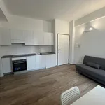 Rent 2 bedroom apartment of 38 m² in milan