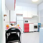 Rent 6 bedroom apartment in Rome