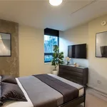 Rent 1 bedroom apartment in Hamilton