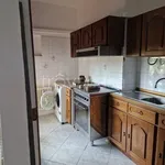 Rent 3 bedroom apartment of 100 m² in Modena