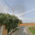 Rent 1 bedroom apartment of 25 m² in Cerveteri