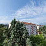 Rent 3 bedroom apartment of 56 m² in Grenoble