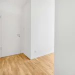 Rent 1 bedroom apartment in berlin