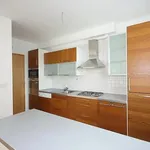 Rent 1 bedroom house of 350 m² in Prague