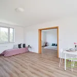 Rent 2 bedroom apartment of 60 m² in Prague