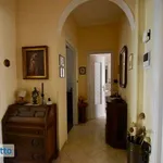 Rent 3 bedroom apartment of 110 m² in Turin