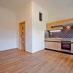 Rent 2 bedroom apartment of 33 m² in Capital City of Prague