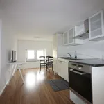 Rent 2 bedroom apartment of 484 m² in Zurich