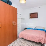 Rent 2 bedroom apartment of 41 m² in Torino