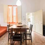 Rent 3 bedroom apartment of 80 m² in Firenze