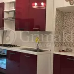 Rent 2 bedroom apartment of 40 m² in Roma