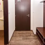 Rent 1 bedroom apartment of 37 m² in Sázava