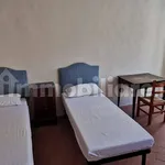 Rent 3 bedroom apartment of 80 m² in Siena