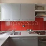 Rent 3 bedroom apartment of 50 m² in Milano