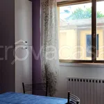 Rent 3 bedroom apartment of 55 m² in Camaiore