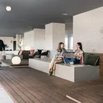 Alquilo 1 dormitorio apartamento de 66 m² en Madrid