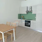 Rent 1 bedroom apartment of 40 m² in Carrara