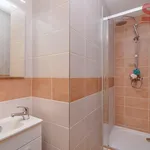 Pronajměte si 1 ložnic/e byt o rozloze 40 m² v Prague