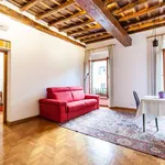 Rent 1 bedroom apartment of 50 m² in rome