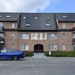 Rent 1 bedroom apartment in Zele