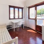 Rent a room of 100 m² in lisbon