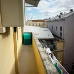 Rent 4 bedroom apartment of 130 m² in Livorno