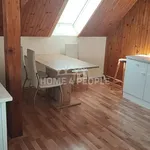 Rent 1 bedroom apartment of 50 m² in Plzeň