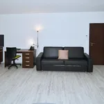 Rent 3 bedroom apartment of 141 m² in Brno