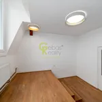 Pronajměte si 4 ložnic/e byt o rozloze 132 m² v Prague