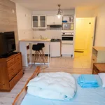 Appartement de 24 m² avec 1 chambre(s) en location à NANTUAT