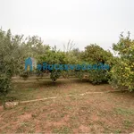 Rent 1 bedroom house of 70 m² in Municipal Unit of Lerna