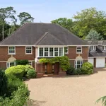 Rent 5 bedroom house in South East England