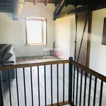 Rent 3 bedroom apartment of 170 m² in Pieve Emanuele