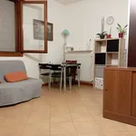 Rent 1 bedroom apartment of 45 m² in Bologna