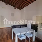 Rent 2 bedroom apartment of 55 m² in Collesalvetti