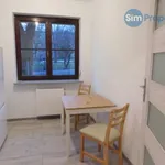 Rent 1 bedroom apartment in Brno