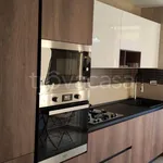 Rent 3 bedroom apartment of 75 m² in Turin