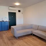 Rent 1 bedroom apartment of 100 m² in Pécs