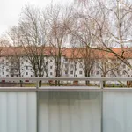 Miete 2 Schlafzimmer wohnung von 48 m² in Berlin