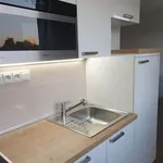 Rent 1 bedroom apartment in Prague