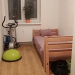 Rent 1 bedroom apartment in Capital City of Prague