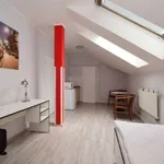 Studio o rozloze 21 m² v prague