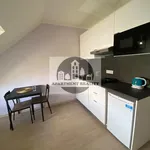 Rent 1 bedroom apartment of 25 m² in Praha