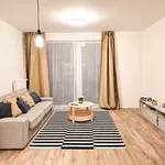 Rent 2 bedroom apartment of 55 m² in budapest